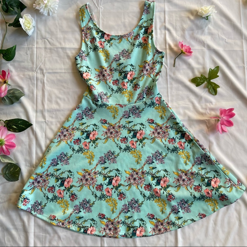 H&M Mint green floral skater dress